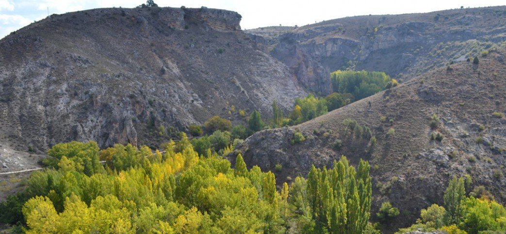 Foto de Bosque de Valdenazar en Escariche, Guadalajara