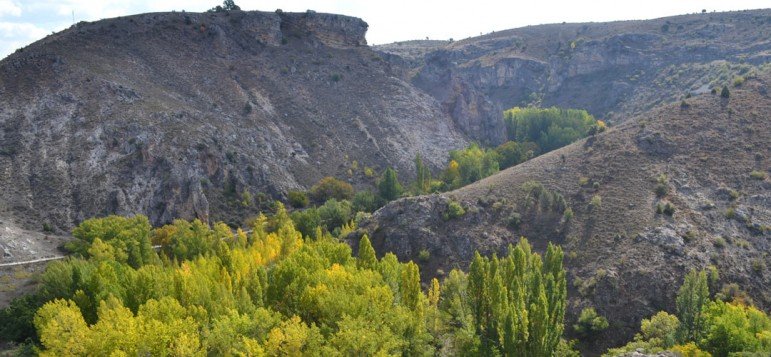 Foto de Bosque de Valdenazar en Fuencemillán, Guadalajara