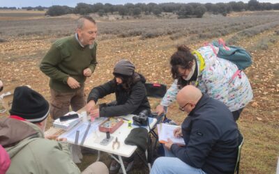 ¿En qué consiste un anillamiento de aves? La experiencia con Aeghitalos en Guadalajara