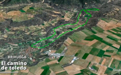 Rutas senderistas para conocer la Alta Alcarria (I) – Brihuega y el Camino de Toledo