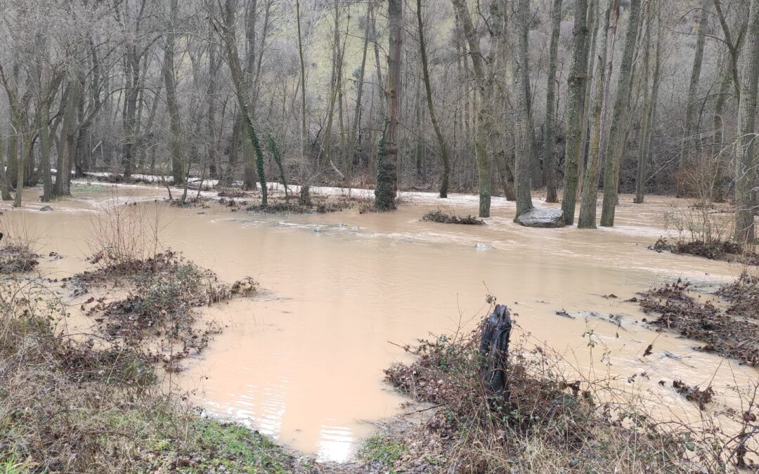 Un recorrido por las aguas y ríos del norte de Guadalajara en plenas lluvias
