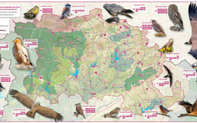 Presentado el nuevo mapa ornitológico de la Sierra Norte de Guadalajara