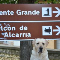 Galerías Fotográficas de Guadalajara – nº 001 – Mirador de la Alcarria